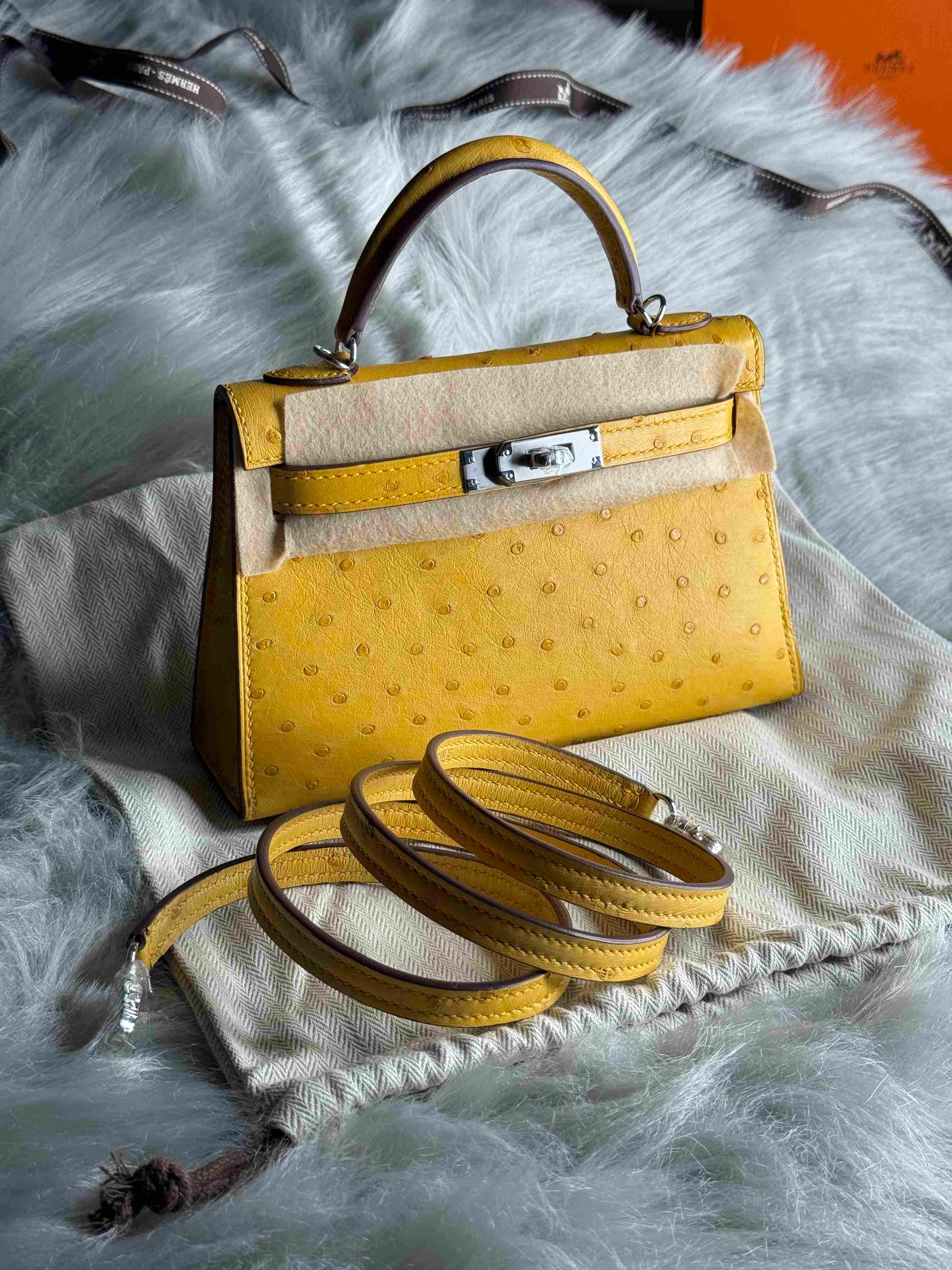 Hermès Mini Kelly Ostrich Leather – Limited Edition