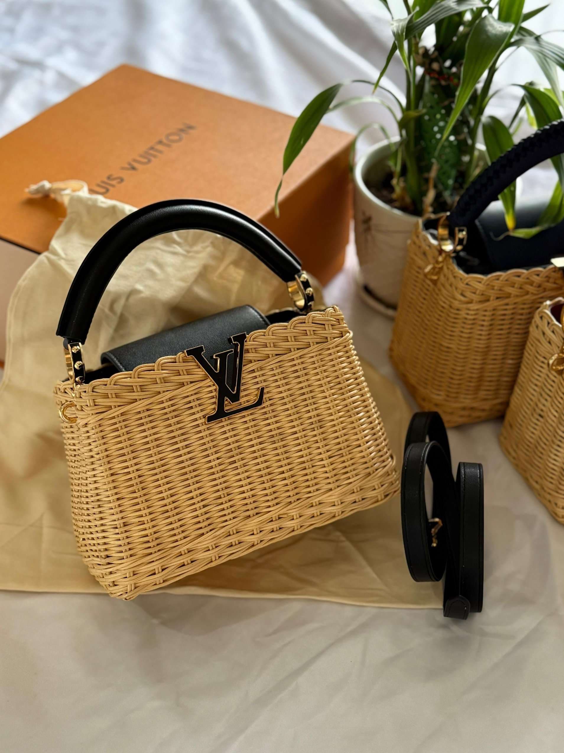 Louis Vuitton  Capucines