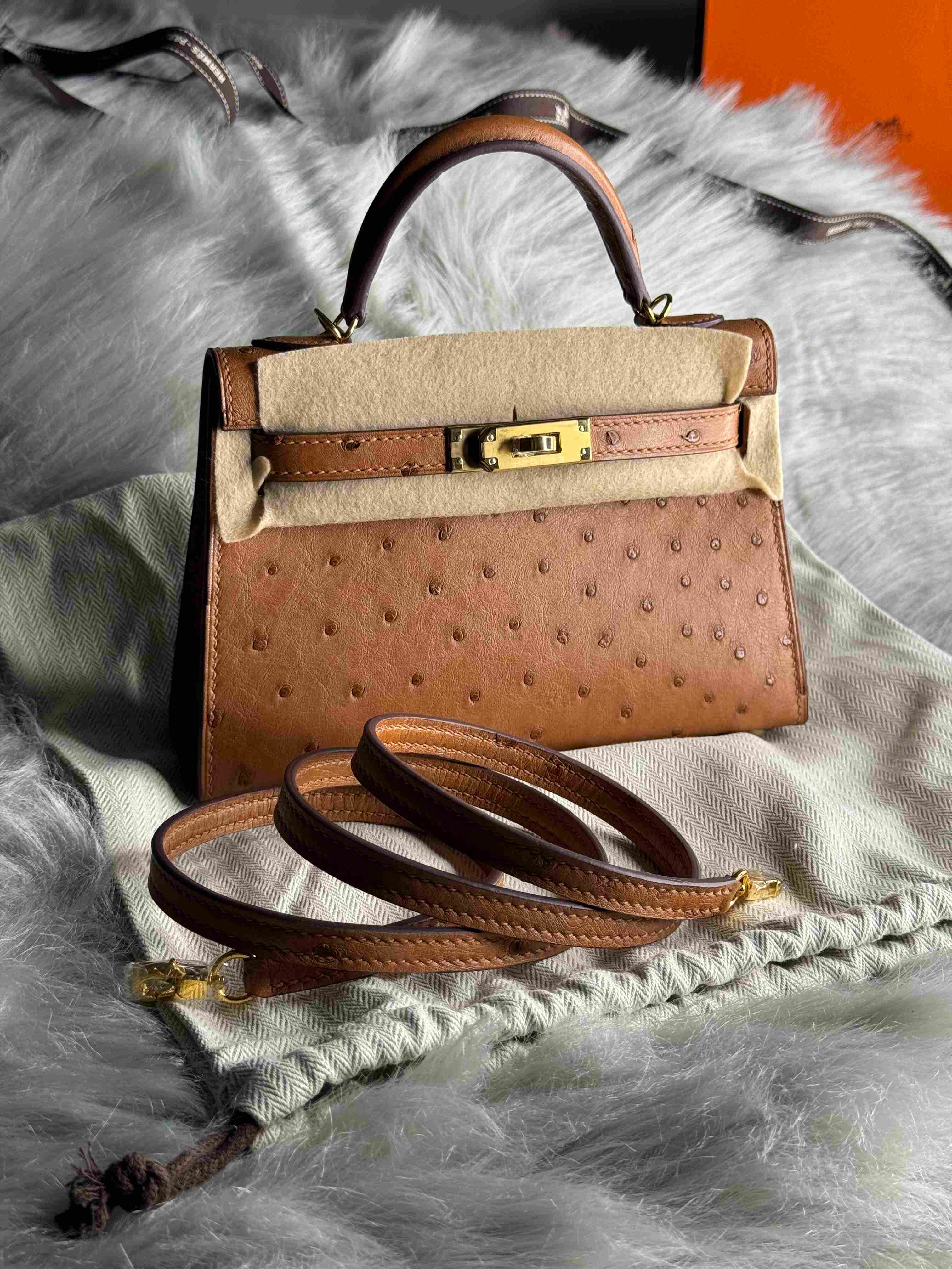 Hermès Mini Kelly Ostrich Leather – Limited Edition