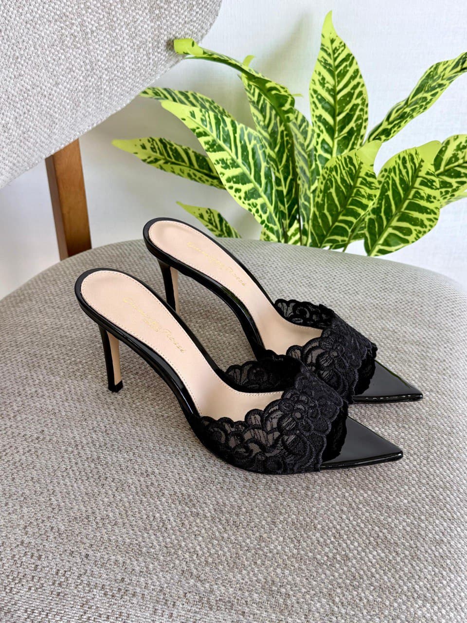 Gianvito Rossi Lace Plexi Pointed Heel Mule