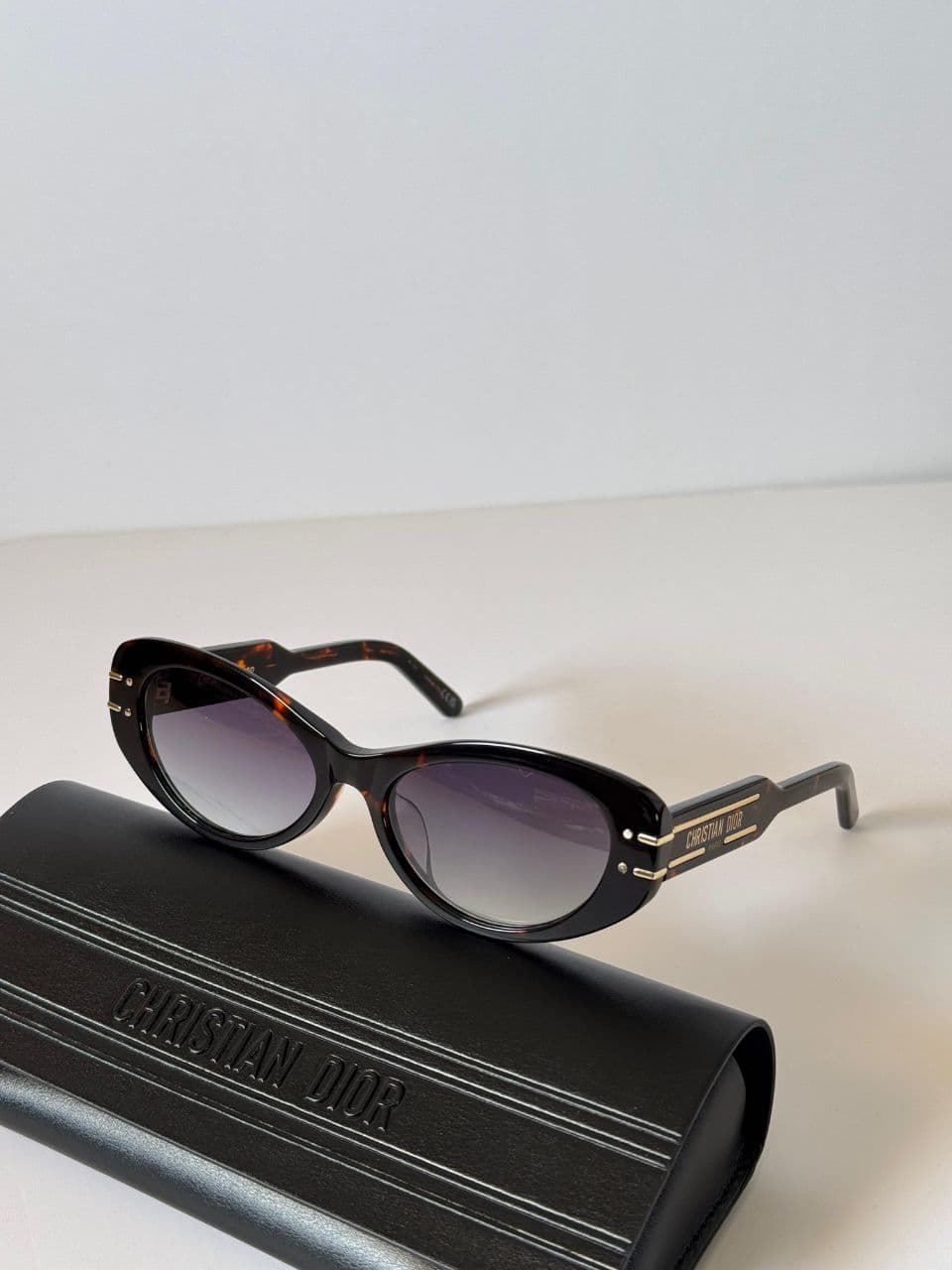 Christian Dior Bold Acetate Frame Sunglasses with Signature Logo