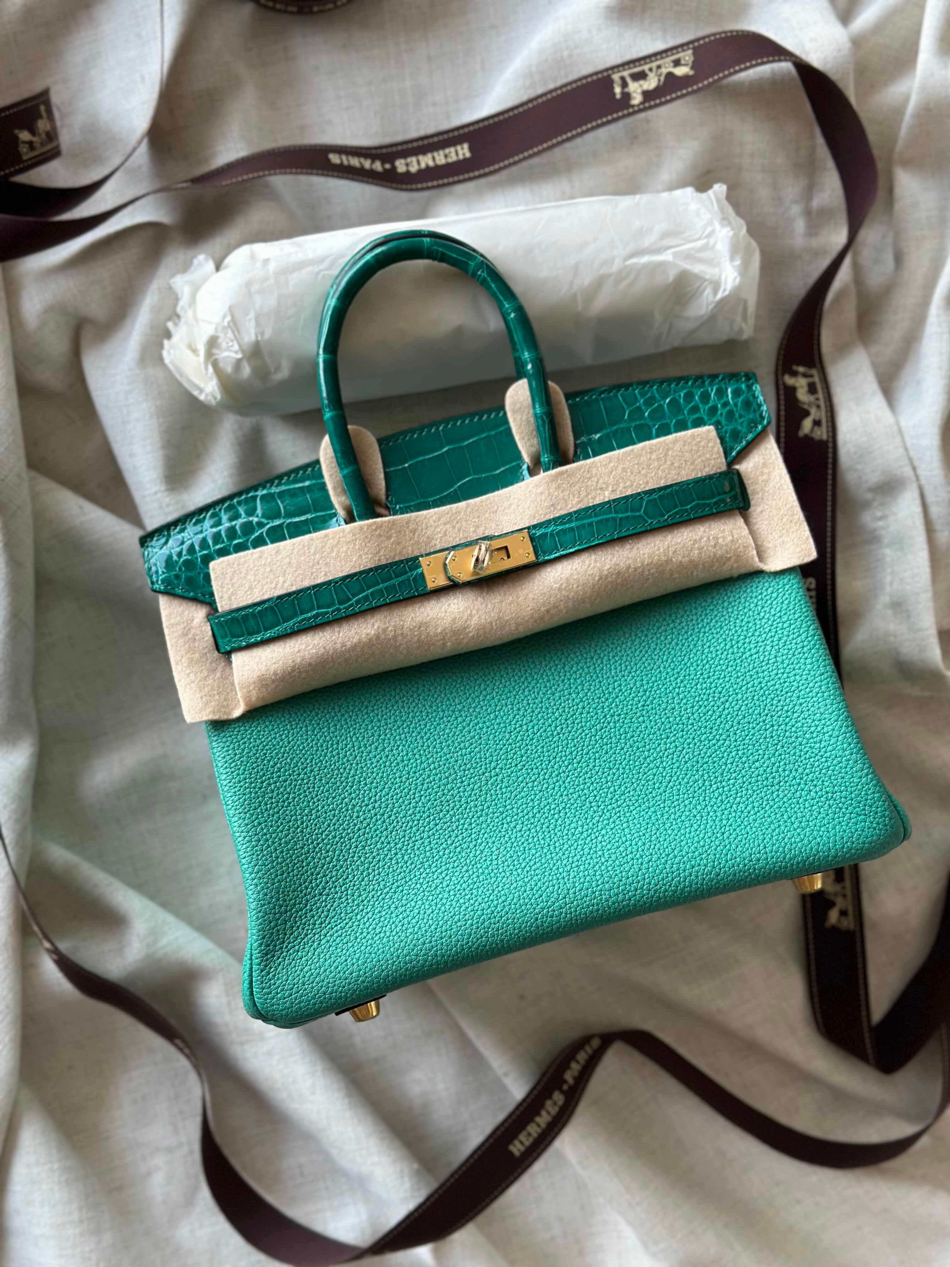 Hermès Birkin Touch – Togo Leather Body with Crocodile Matte Accents Collection
