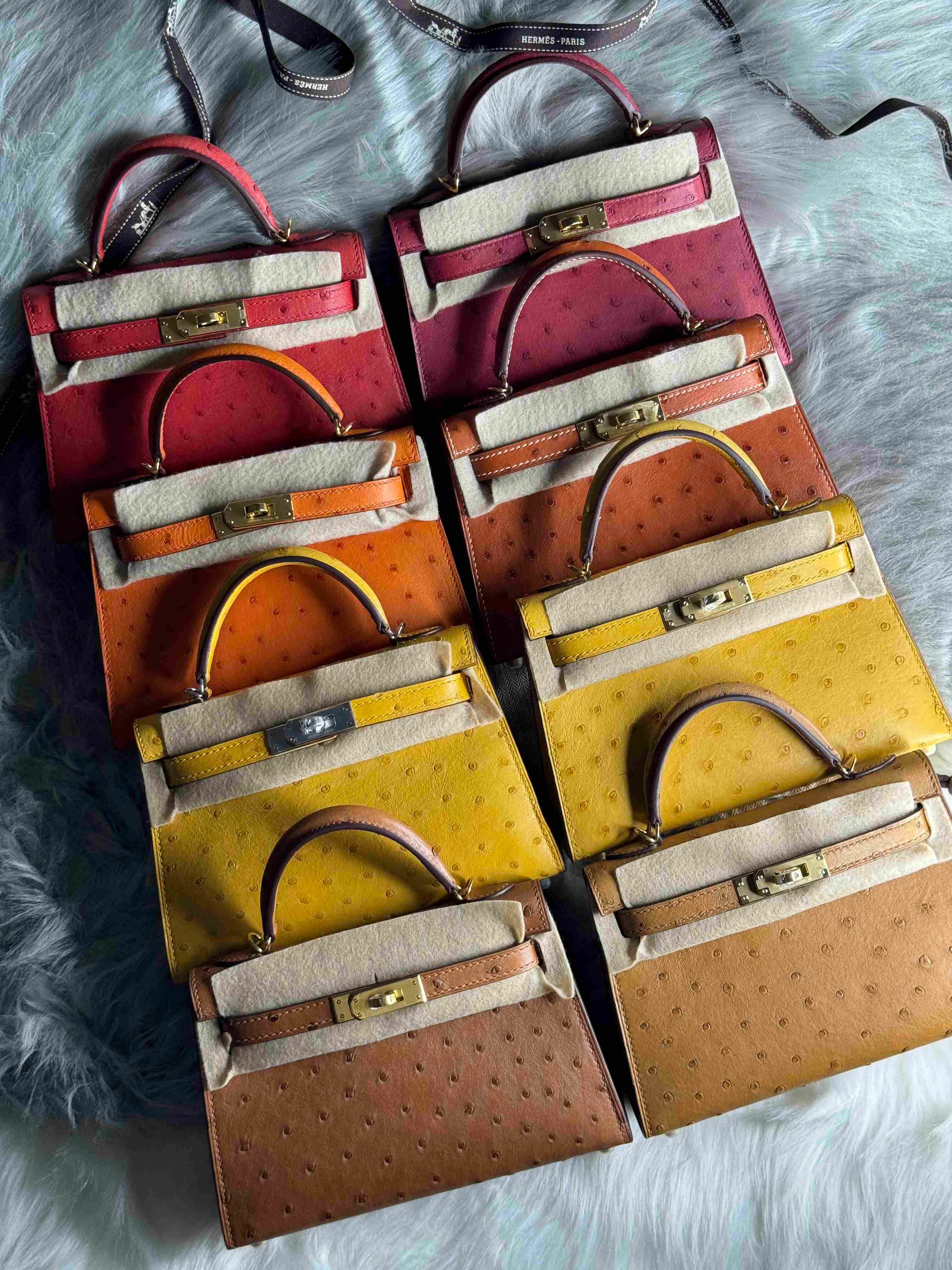 Hermès Mini Kelly Ostrich Leather – Limited Edition