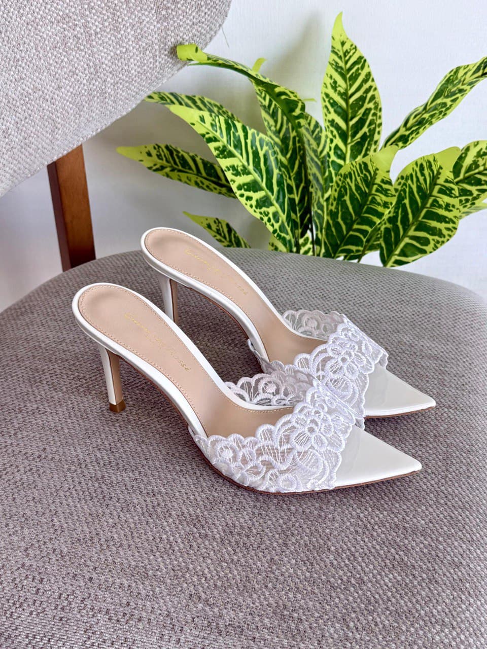 Gianvito Rossi Lace Plexi Pointed Heel Mule