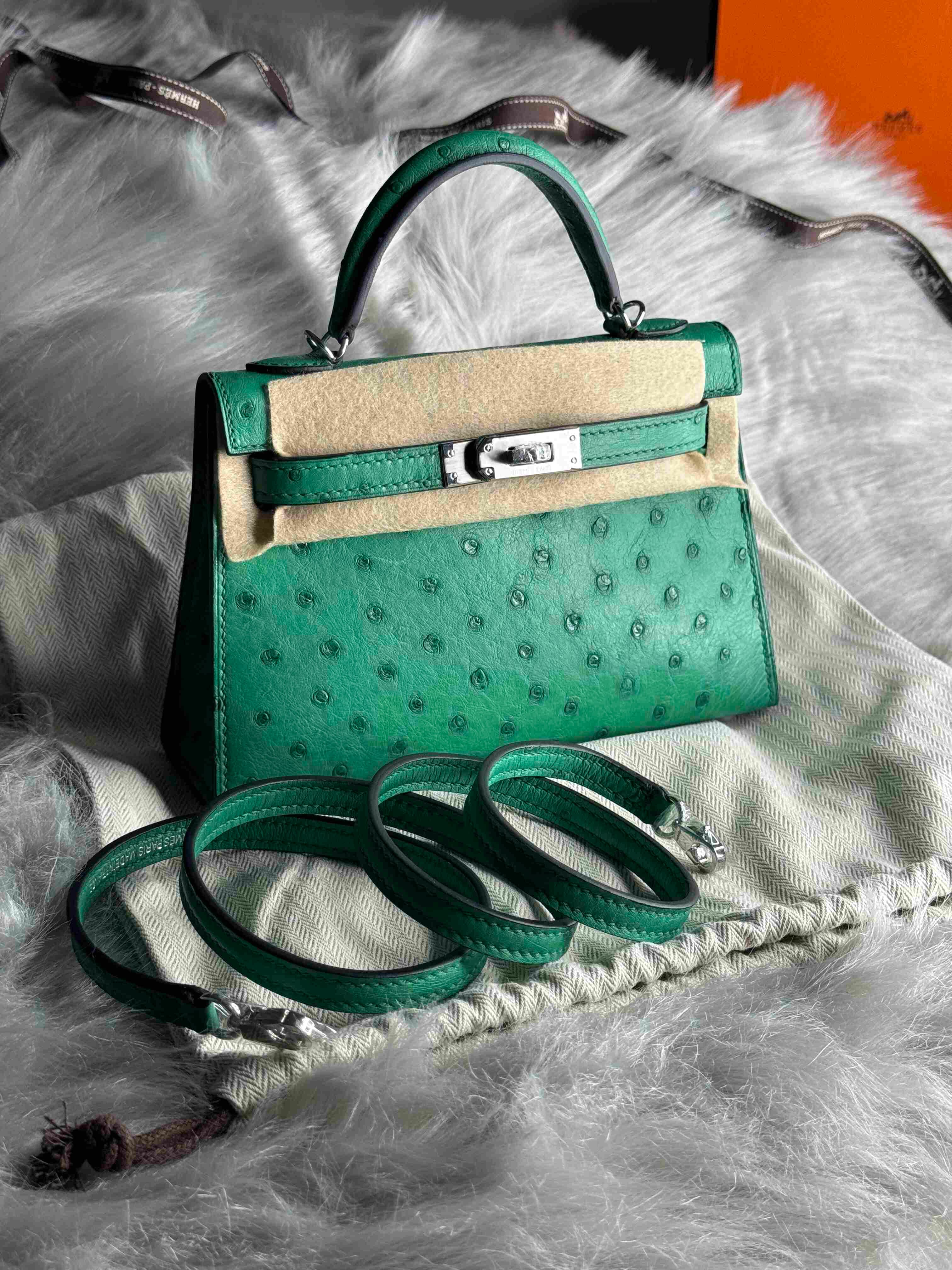 Hermès Mini Kelly Ostrich Leather – Limited Edition