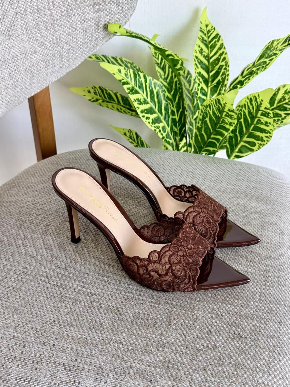 Gianvito Rossi Lace Plexi Pointed Heel Mule