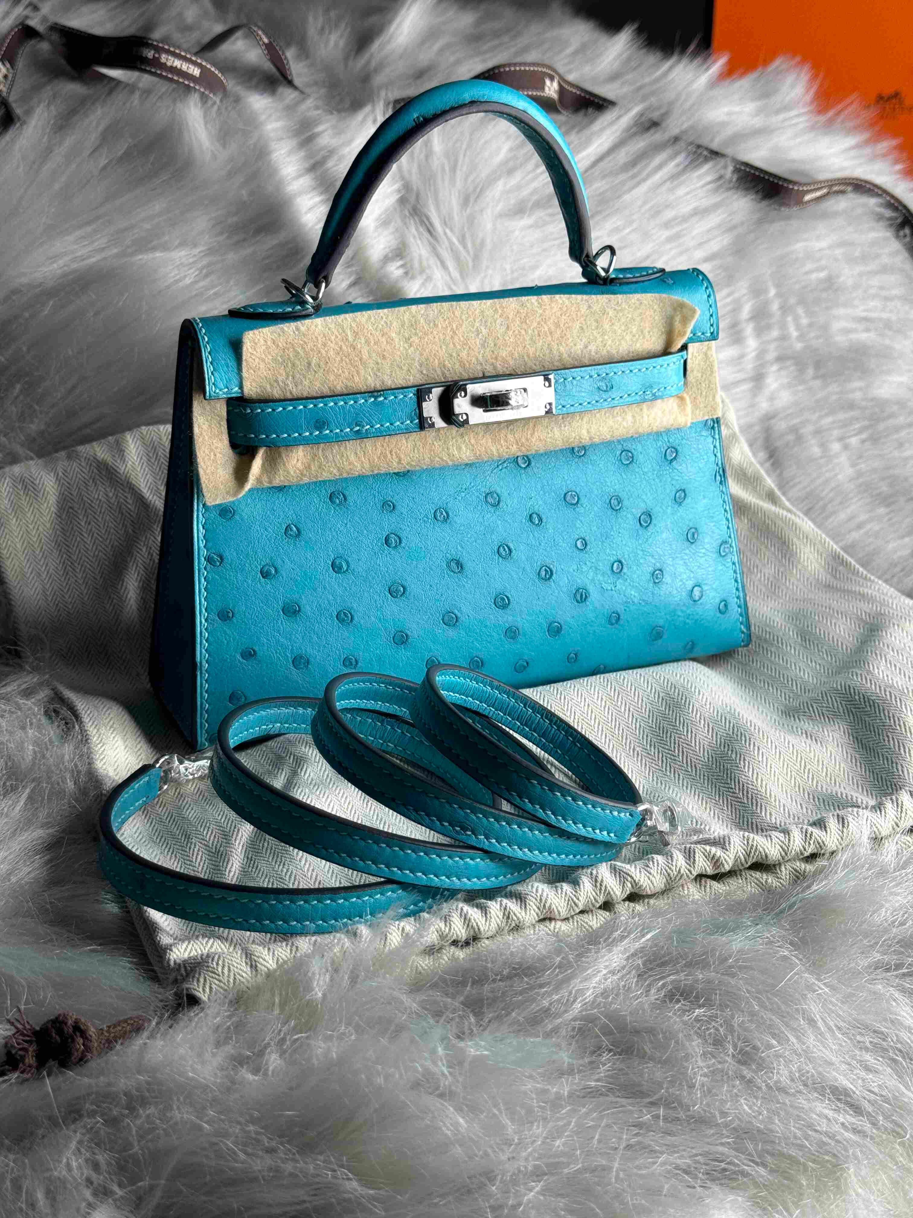 Hermès Mini Kelly Ostrich Leather – Limited Edition