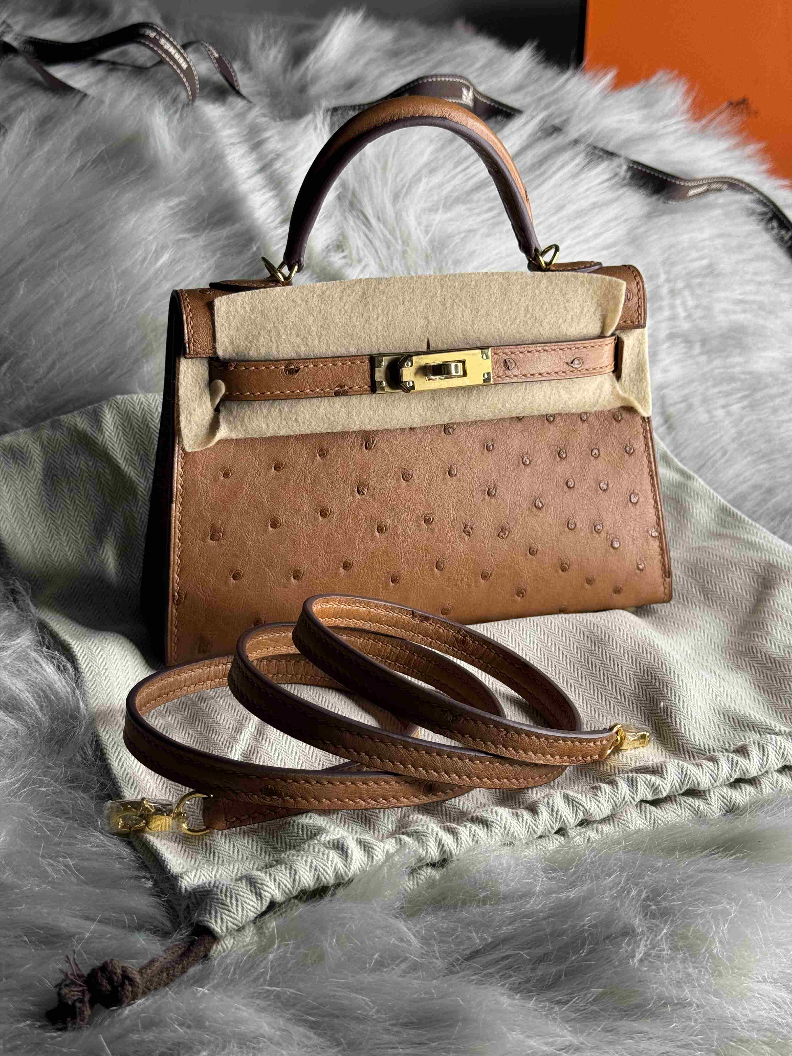 Hermes Mini Kelly Ostrich