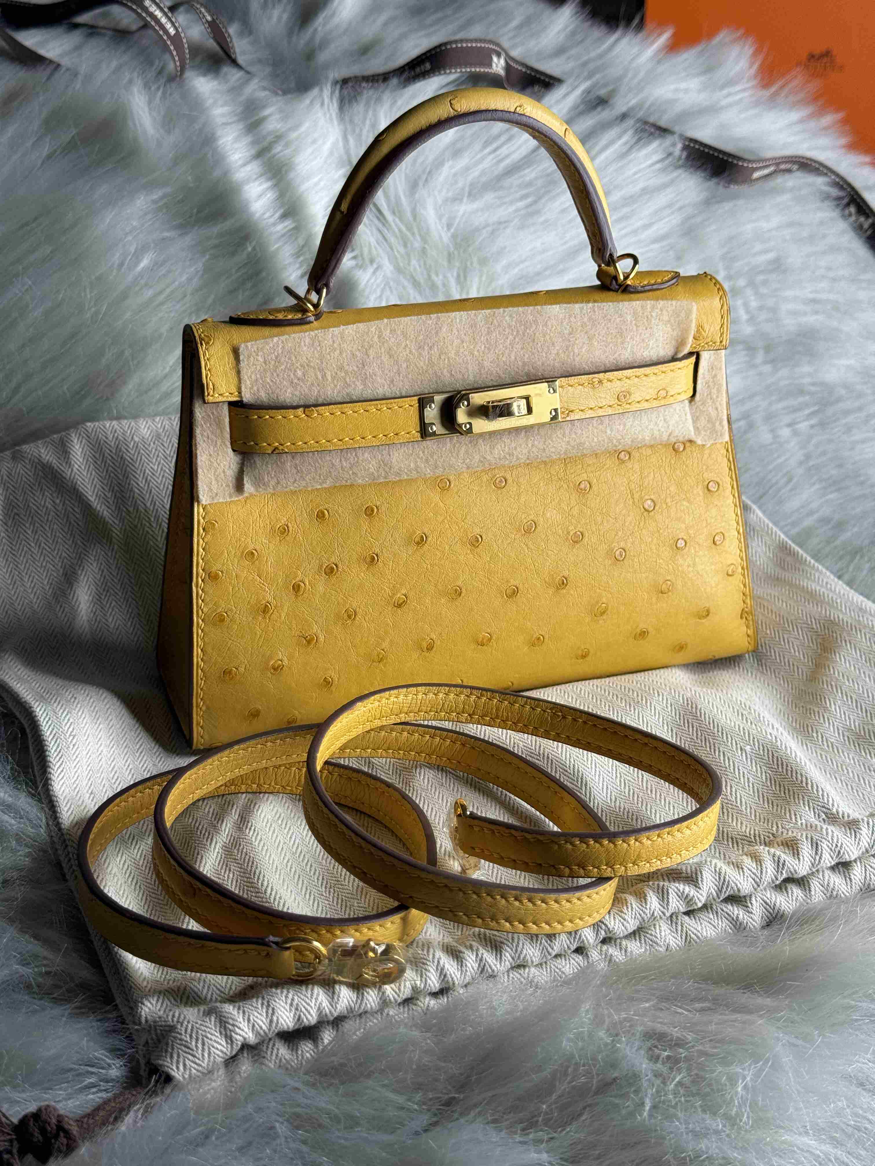 Hermes Mini Kelly Ostrich