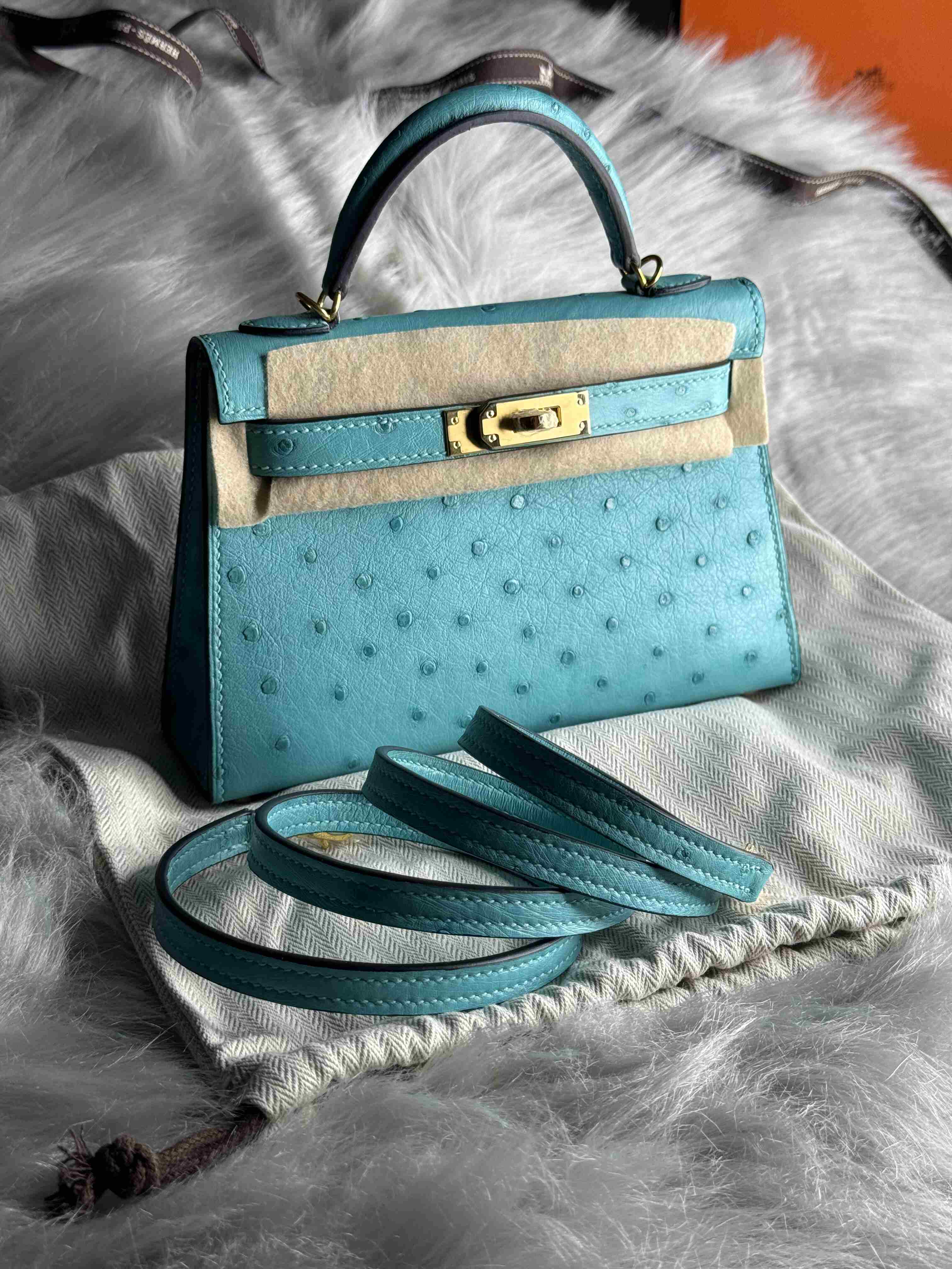 Hermes Mini Kelly Ostrich