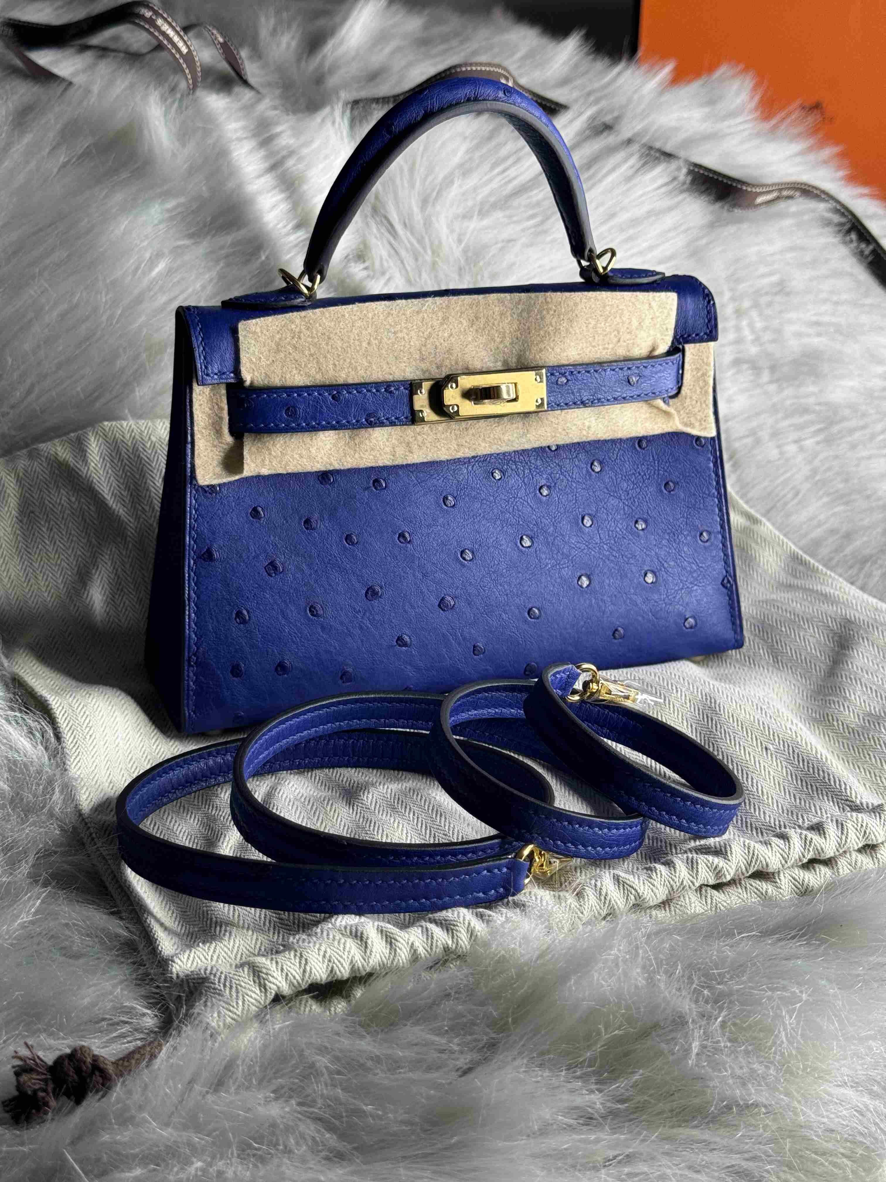 Hermes Mini Kelly Ostrich