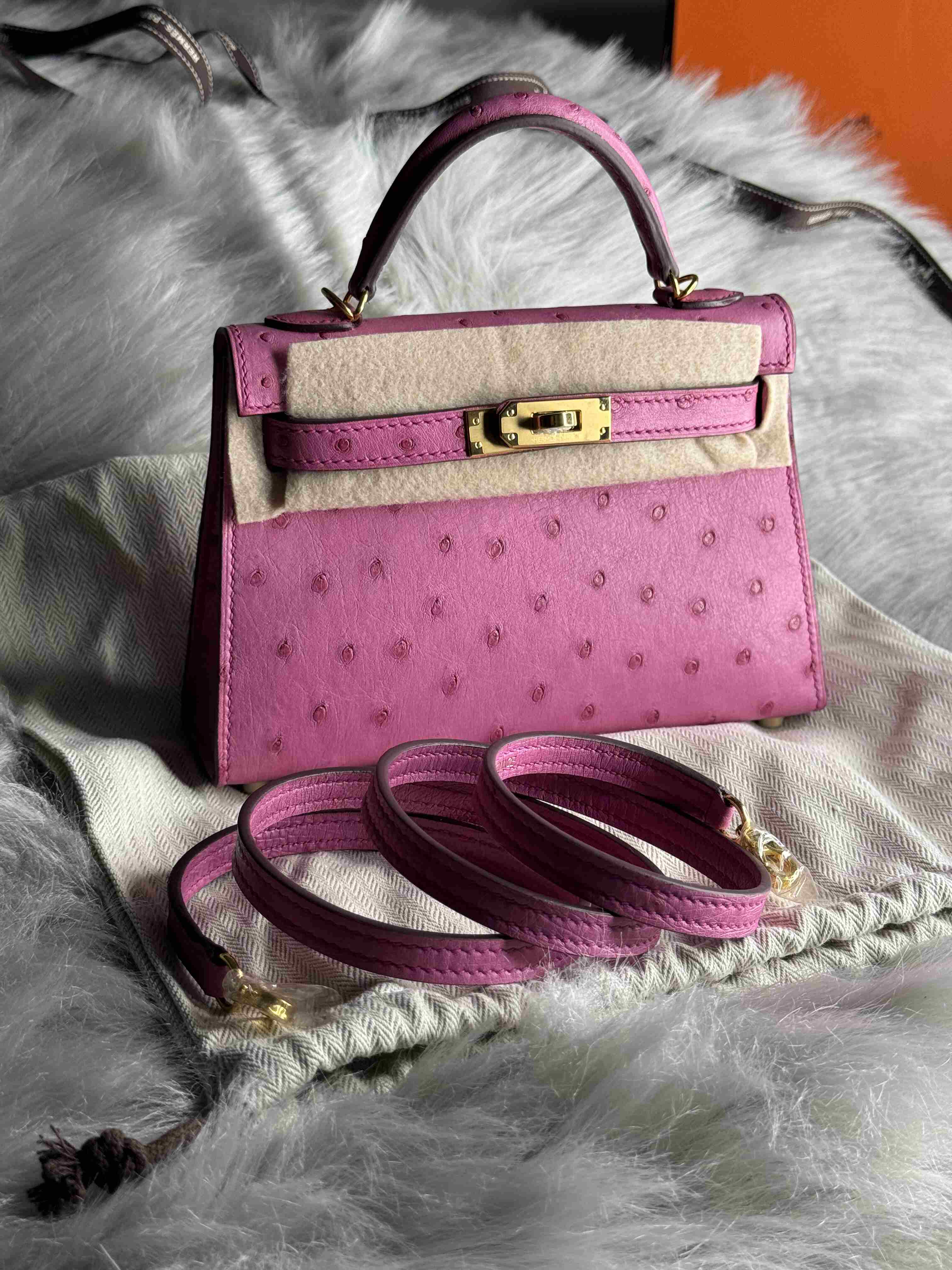 Hermes Mini Kelly Ostrich