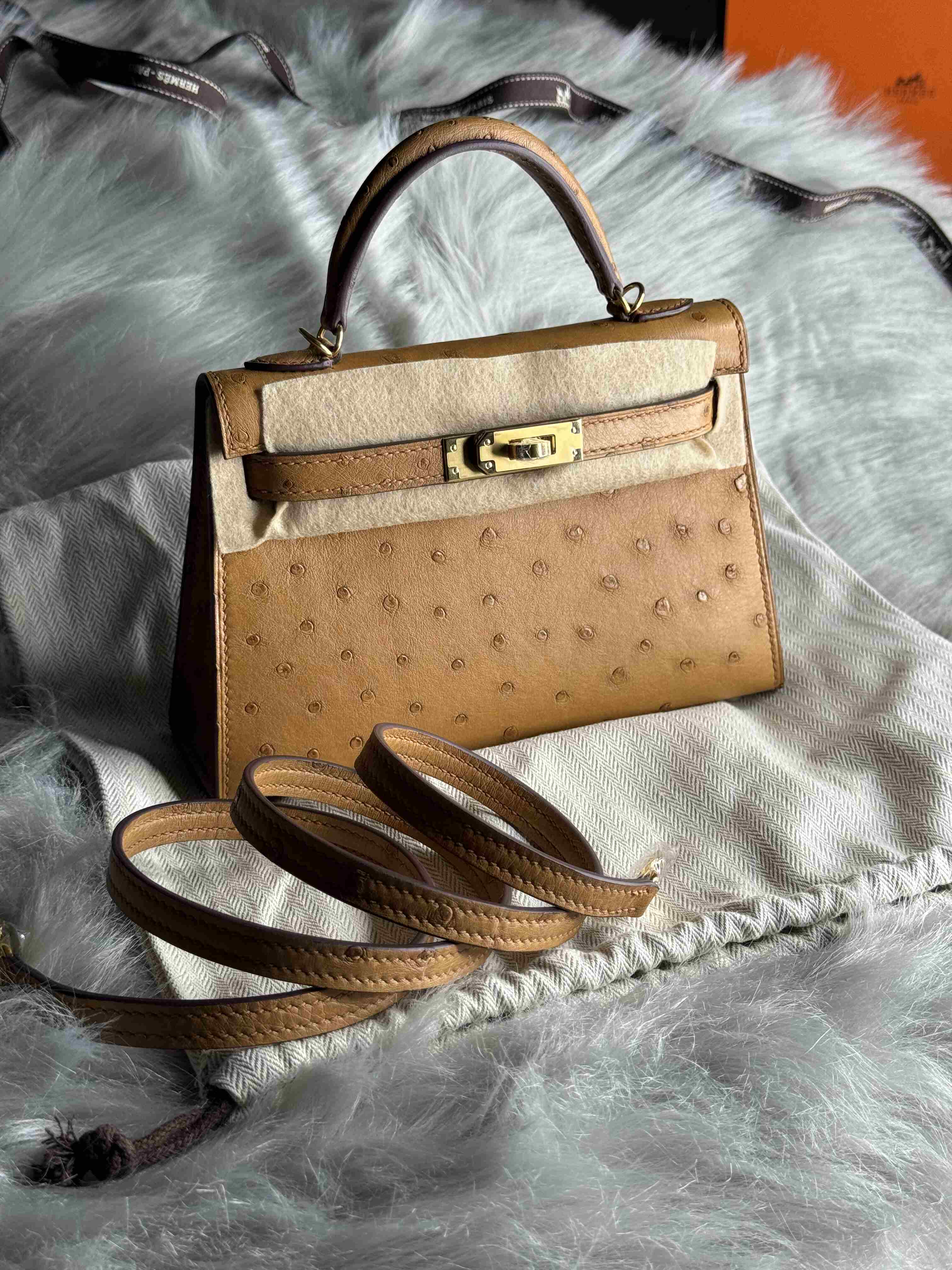 Hermes Mini Kelly Ostrich
