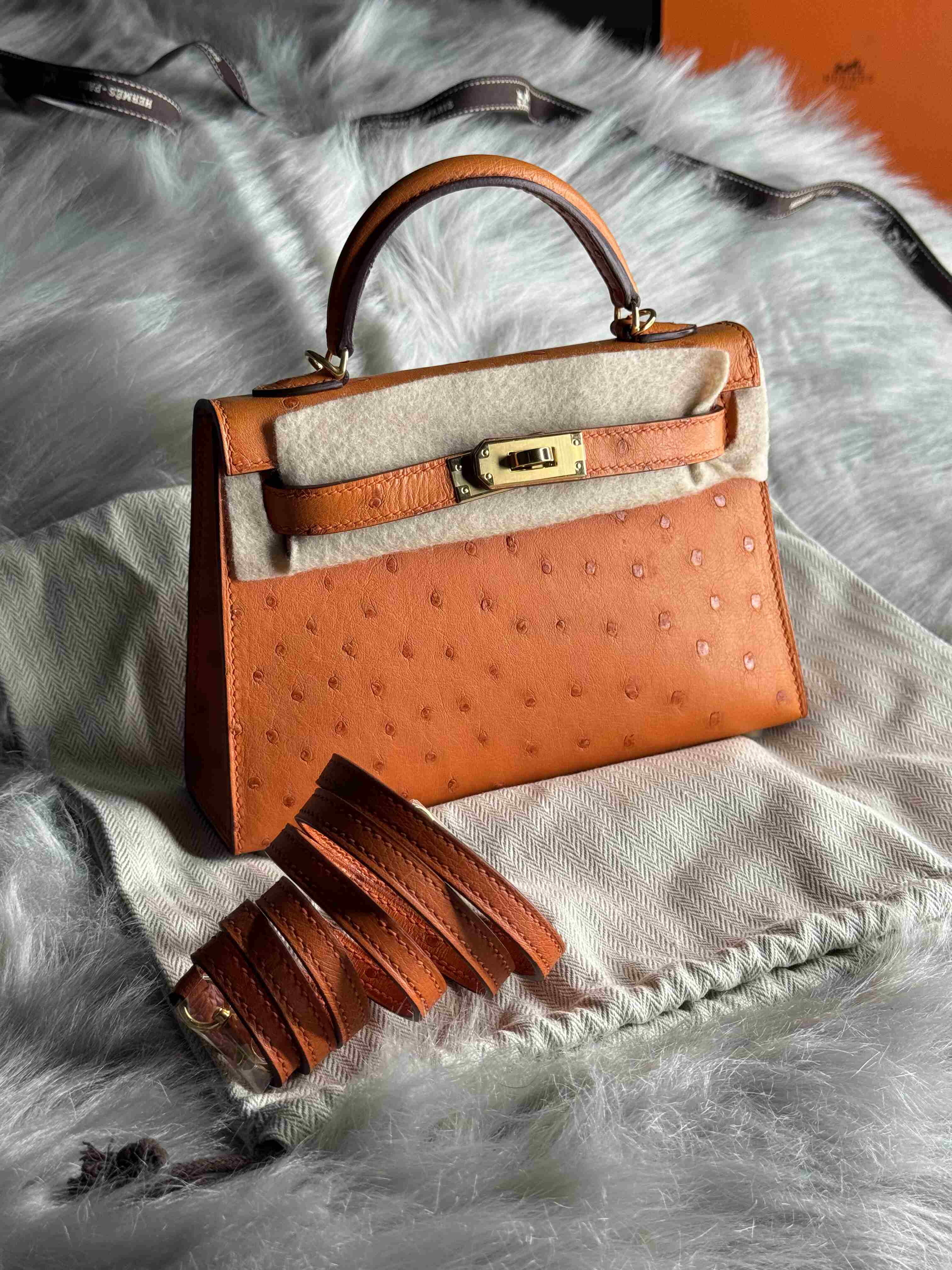 Hermes Mini Kelly Ostrich