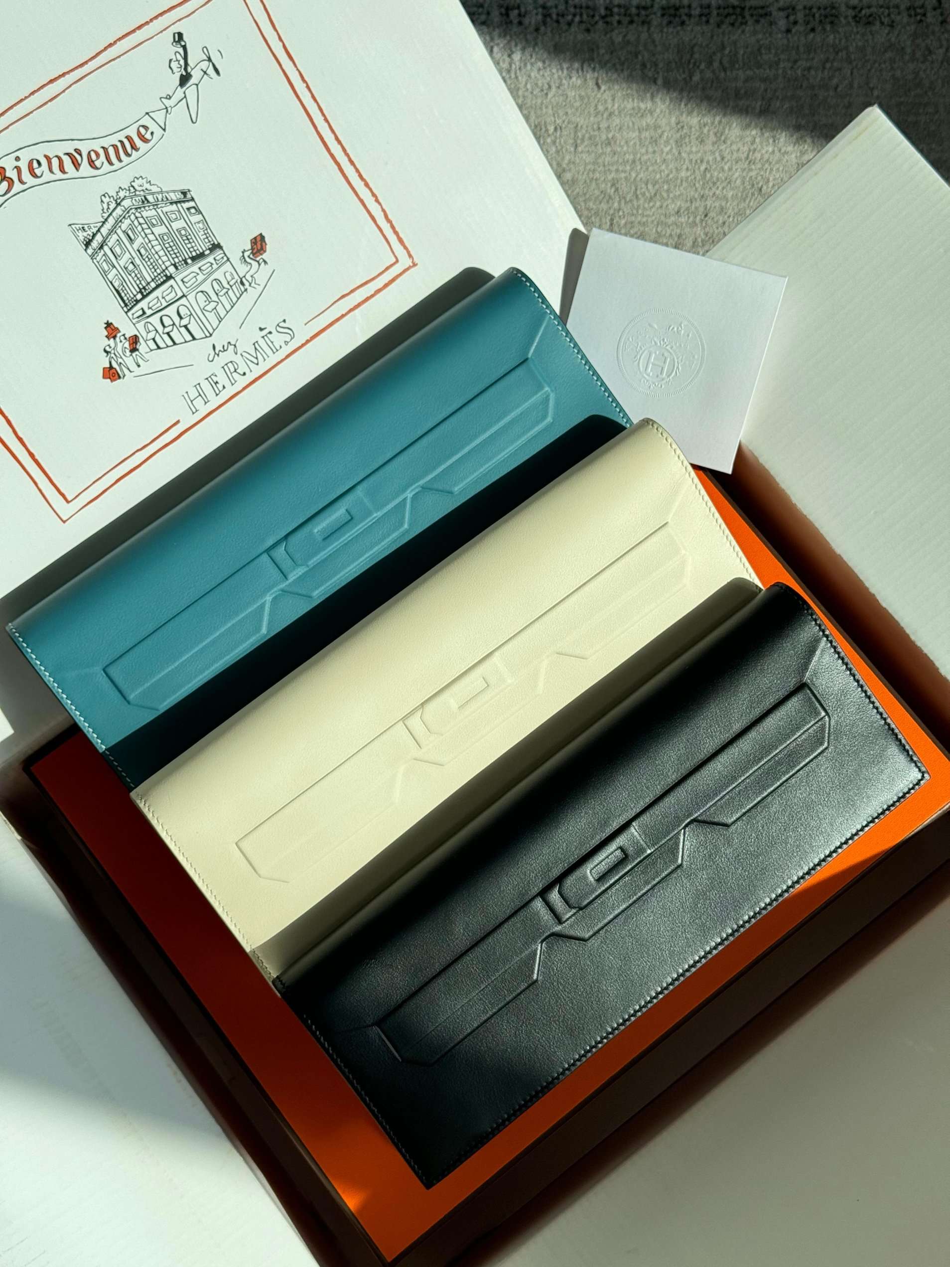 Hermes Pochette Birkin Shadow Swift