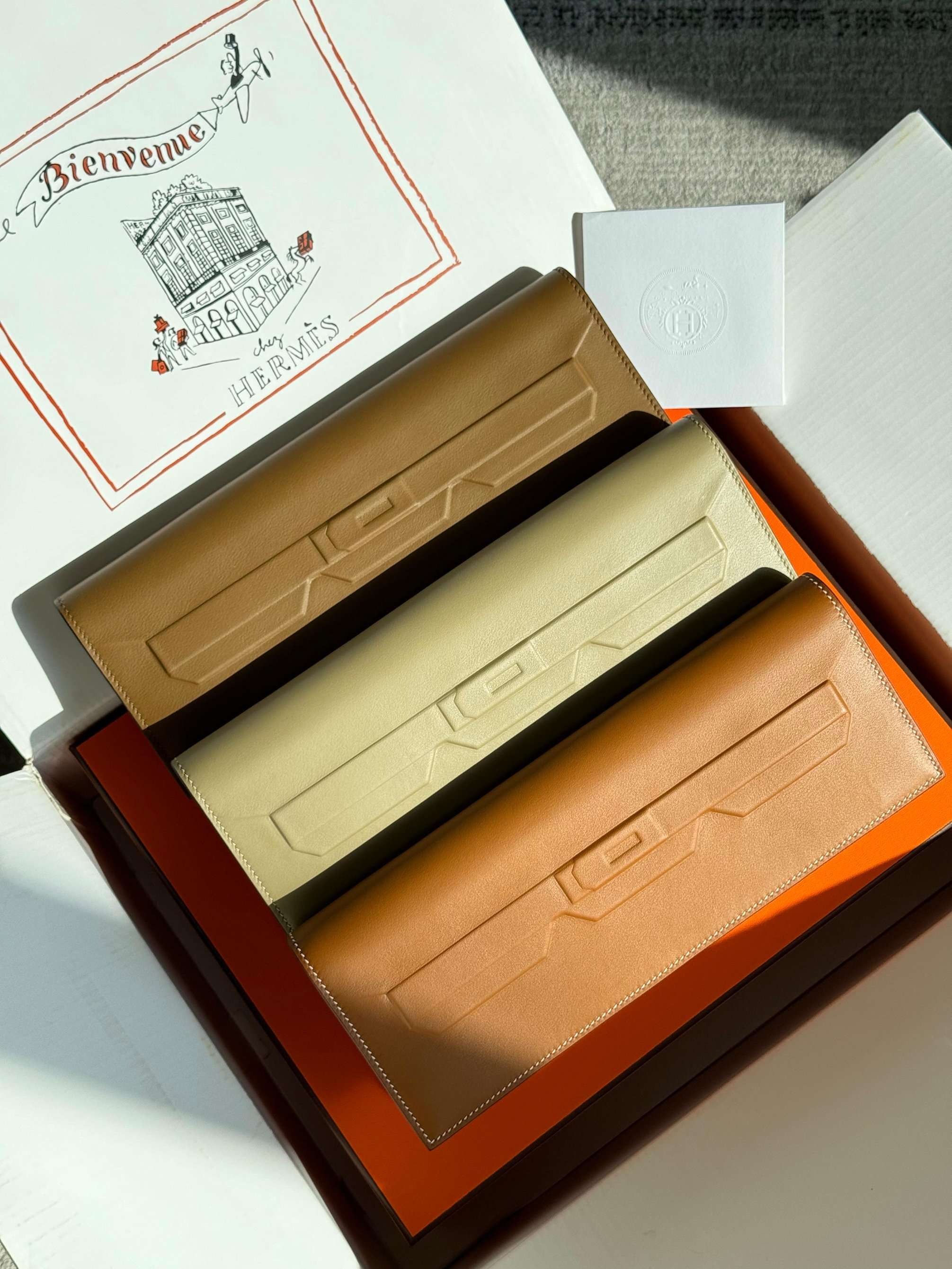 Hermes Pochette Birkin Shadow Swift