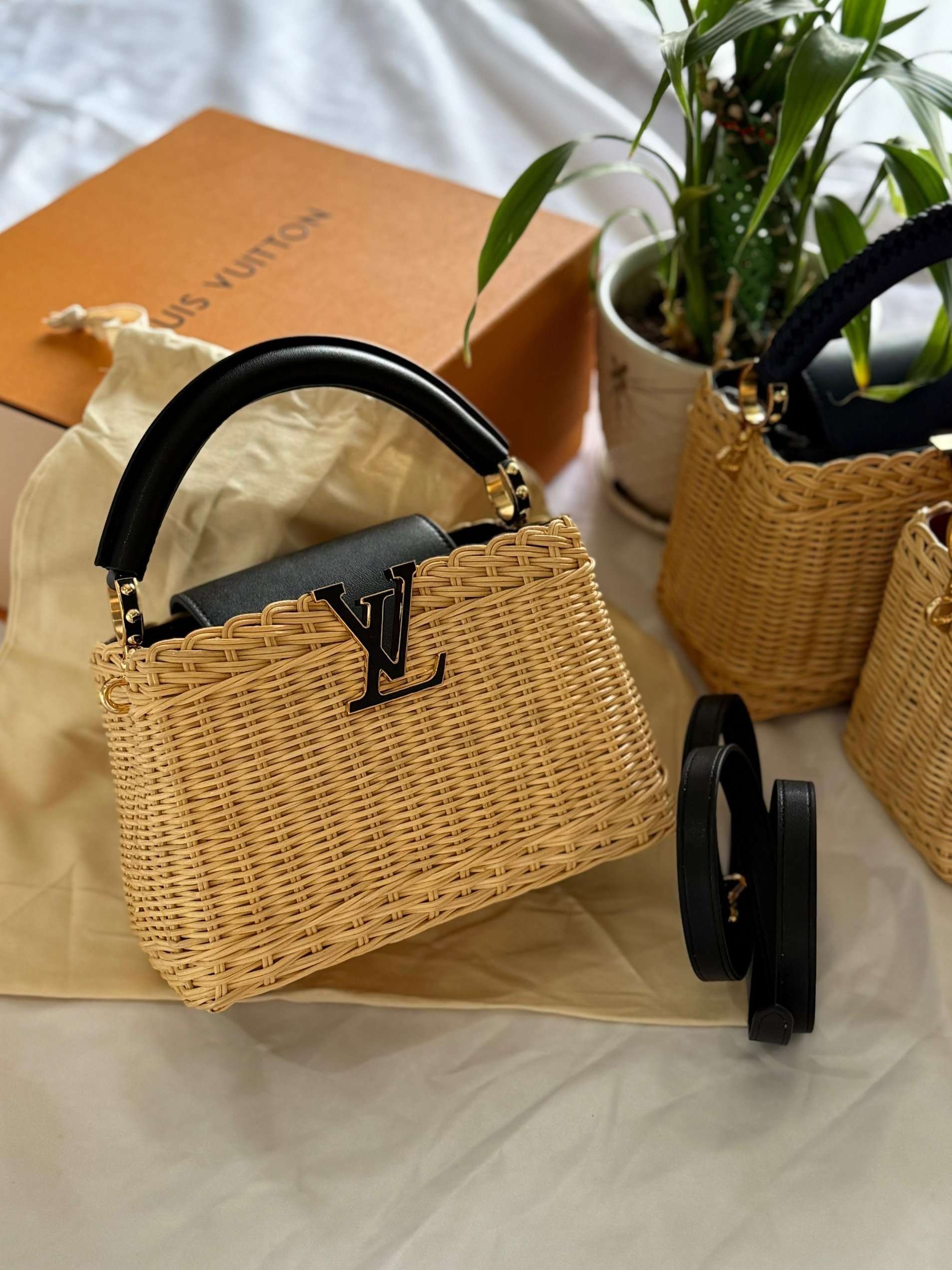 Louis Vuitton  Capucines