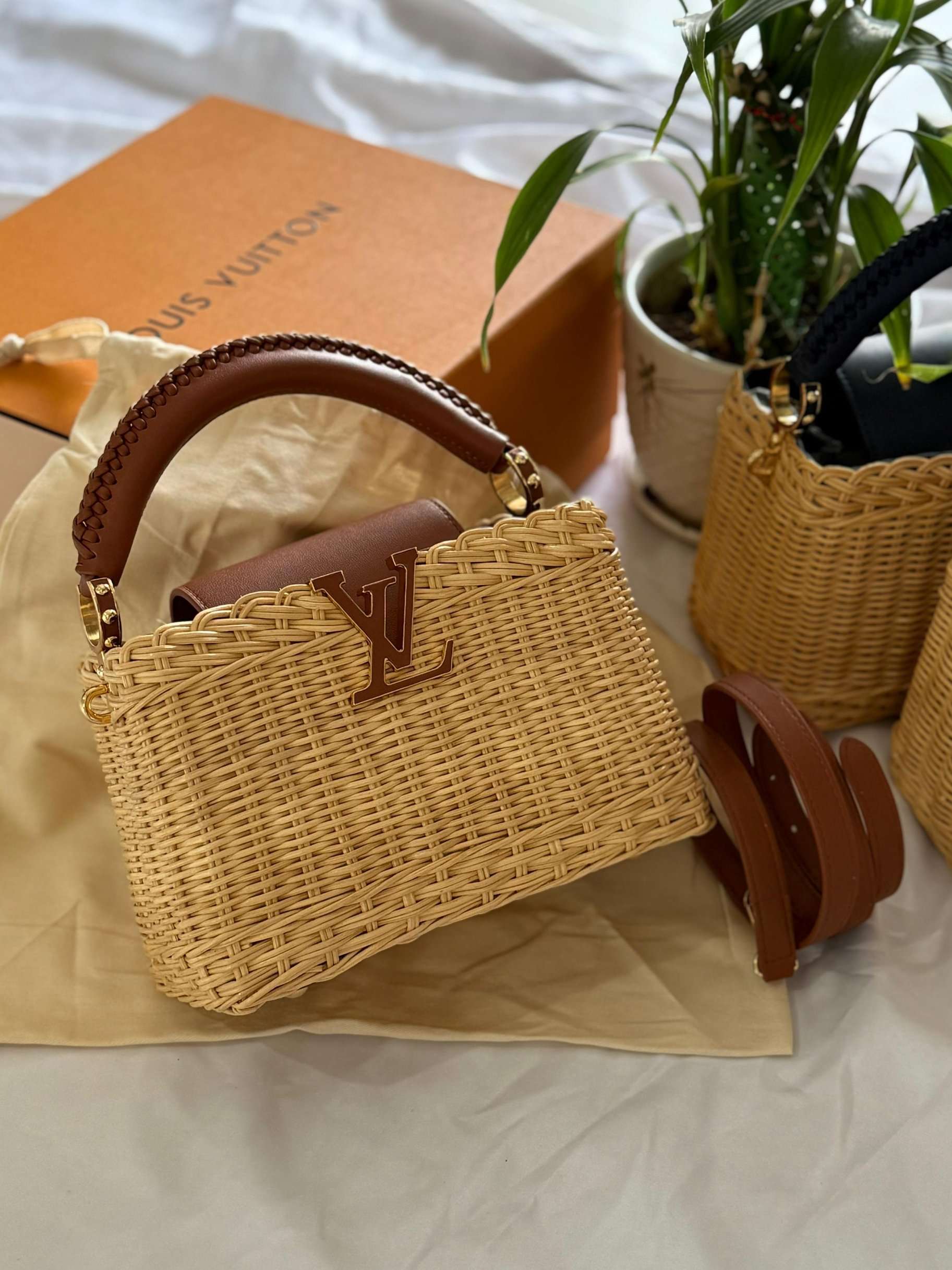 Louis Vuitton  Capucines