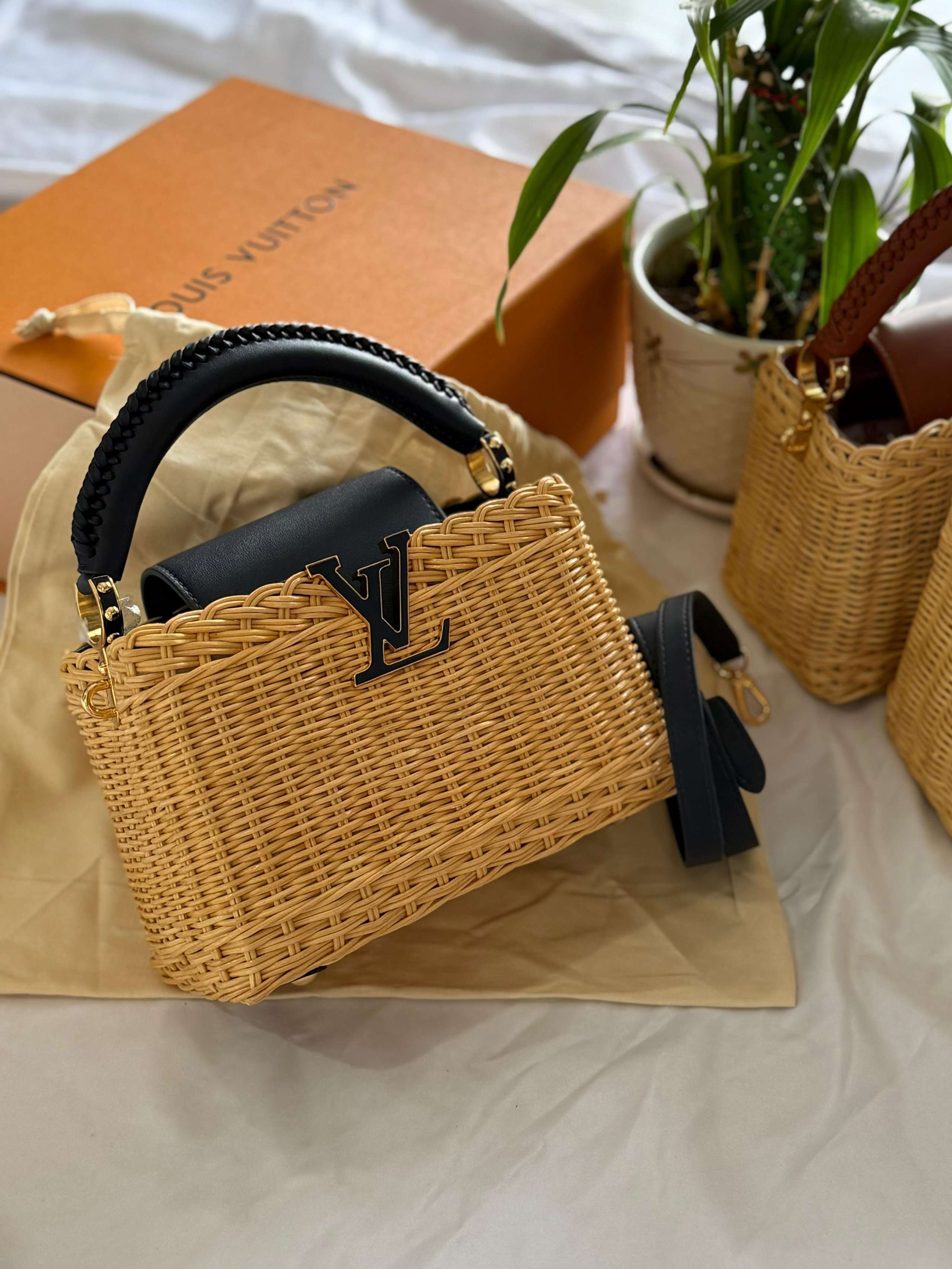 Louis Vuitton  Capucines